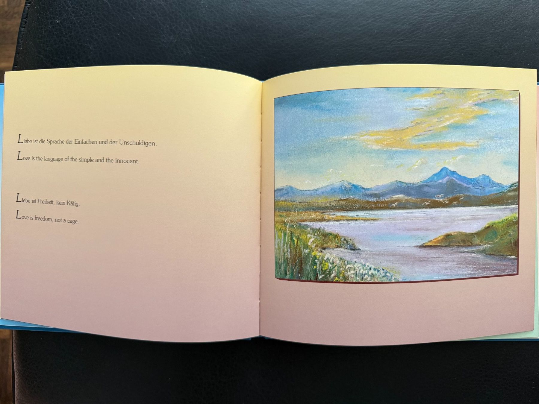 Libri: Mohinder Singh Jus   Evolution – Usato da Subingen venduto da ArtBead 5