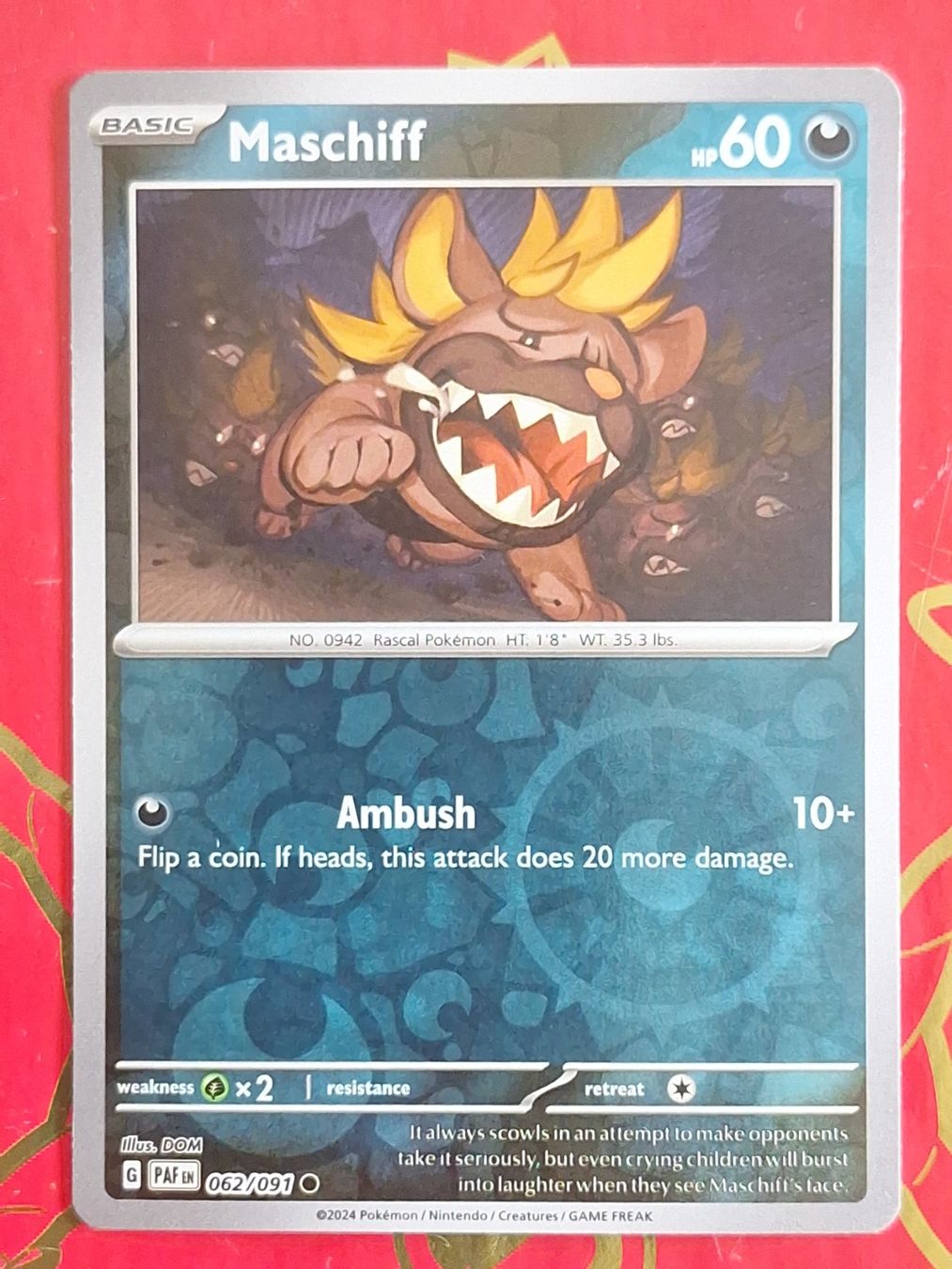 Pokémon Carte collezionabili: Maschiff - Pokemon Reverse Holo Paldean Fates – Usato da Altstätten SG venduto da GGsGameshop