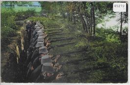 Armee Suisse - Infanterie - Versteckter Schützengraben Litho