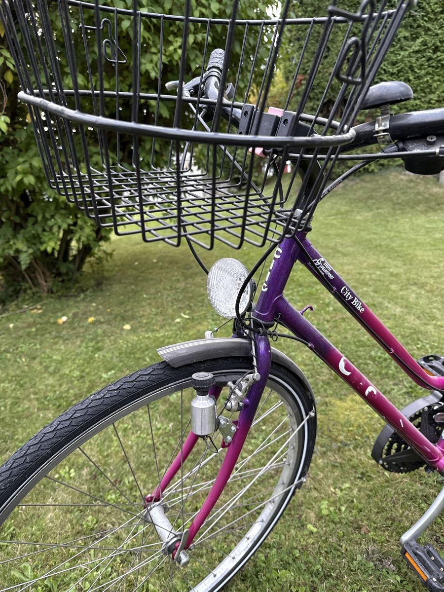 thule markise für fendt wohnwagen Omnistor 6300 Dachmarkise Kastenwagen inkl. Einbau Vs Galaxy Gear S3 Animal Bikes Schwarz, Oliv, Coyote:Coyote