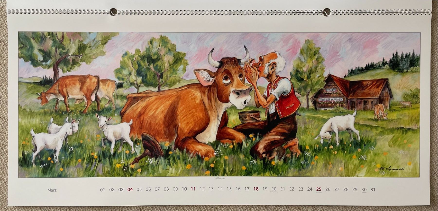 Calendari: Synacek Kalender – Usato da Rümlang venduto da Boehneli7 3