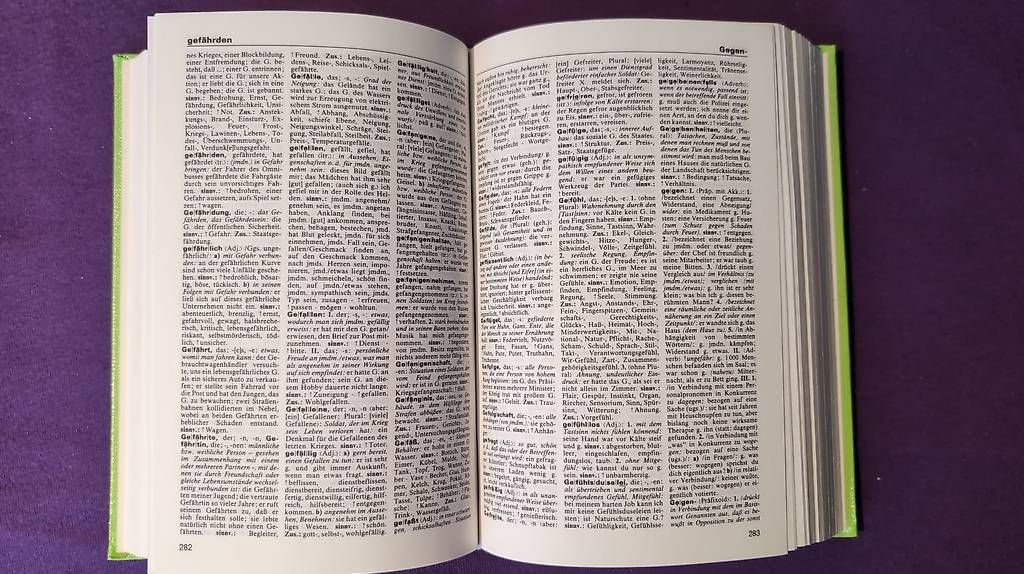 Libri: Duden Nr. 10 – Usato da Birmenstorf AG venduto da R_C_B 2
