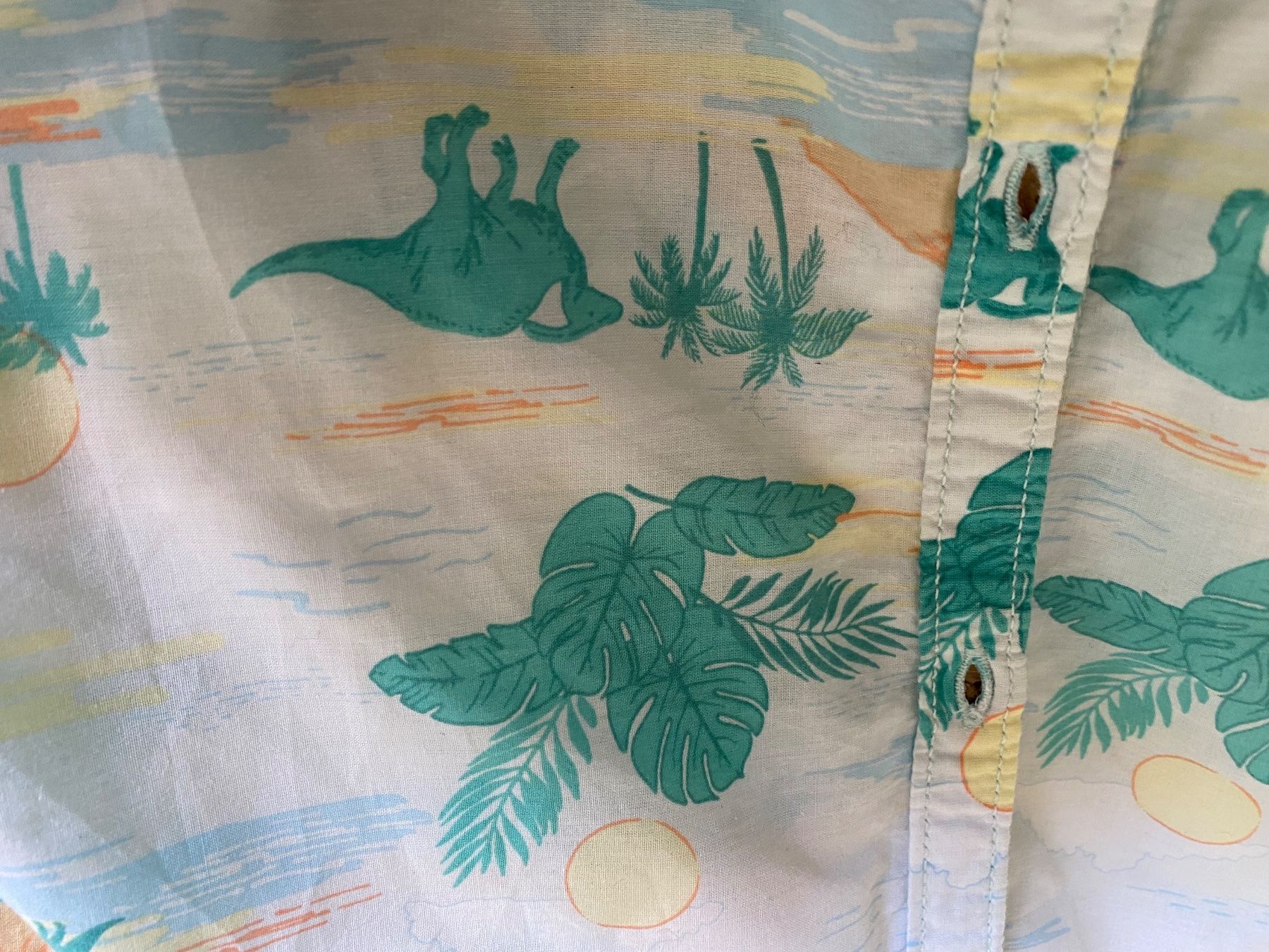 H&M Hemden, T-Shirts & Polos: H&M Hemd Gr. 128 mit Dinosauriermuster, Sommerlich! – Gebraucht aus Fribourg von geraldine132 5