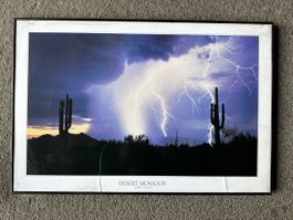Kaktus gewitter wüste
