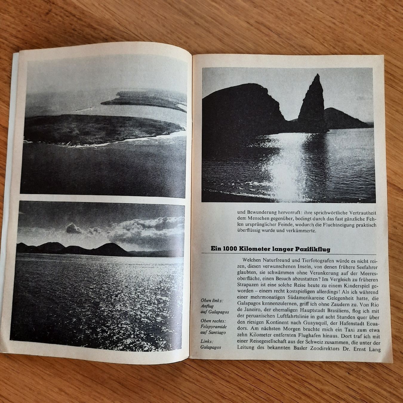 Riviste & Magazine: SJW Heft Nr.1219 Galapagos – Usato da Nottwil venduto da mar_jqm7 3