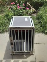 Hundetransport Box