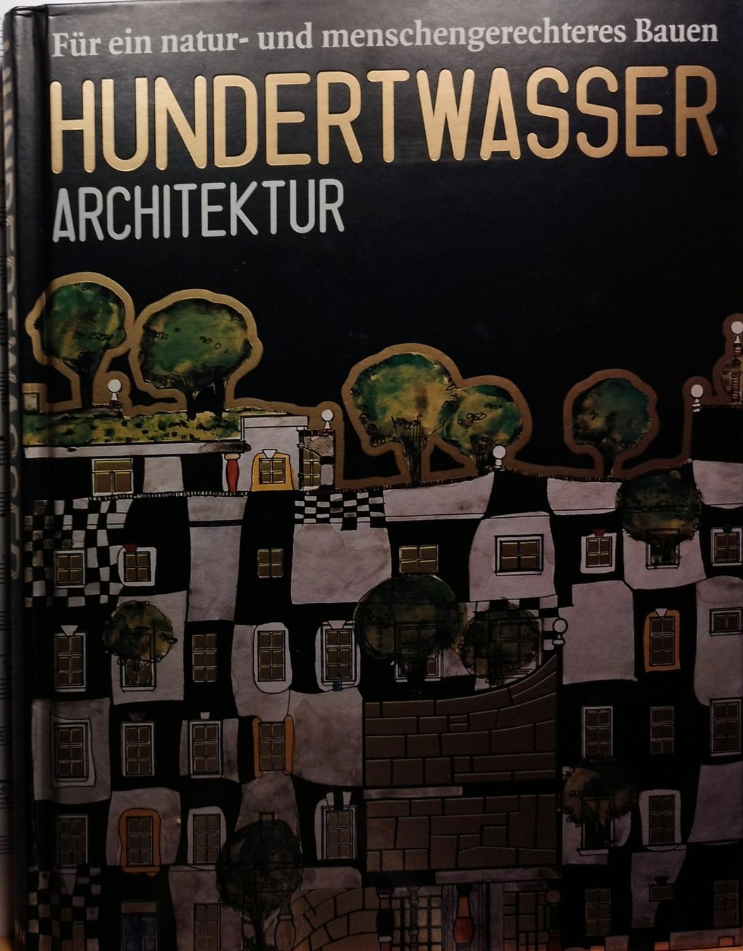 Libri: Friedensreich Hundertwasser Architektur – Usato da Dornach venduto da pet360