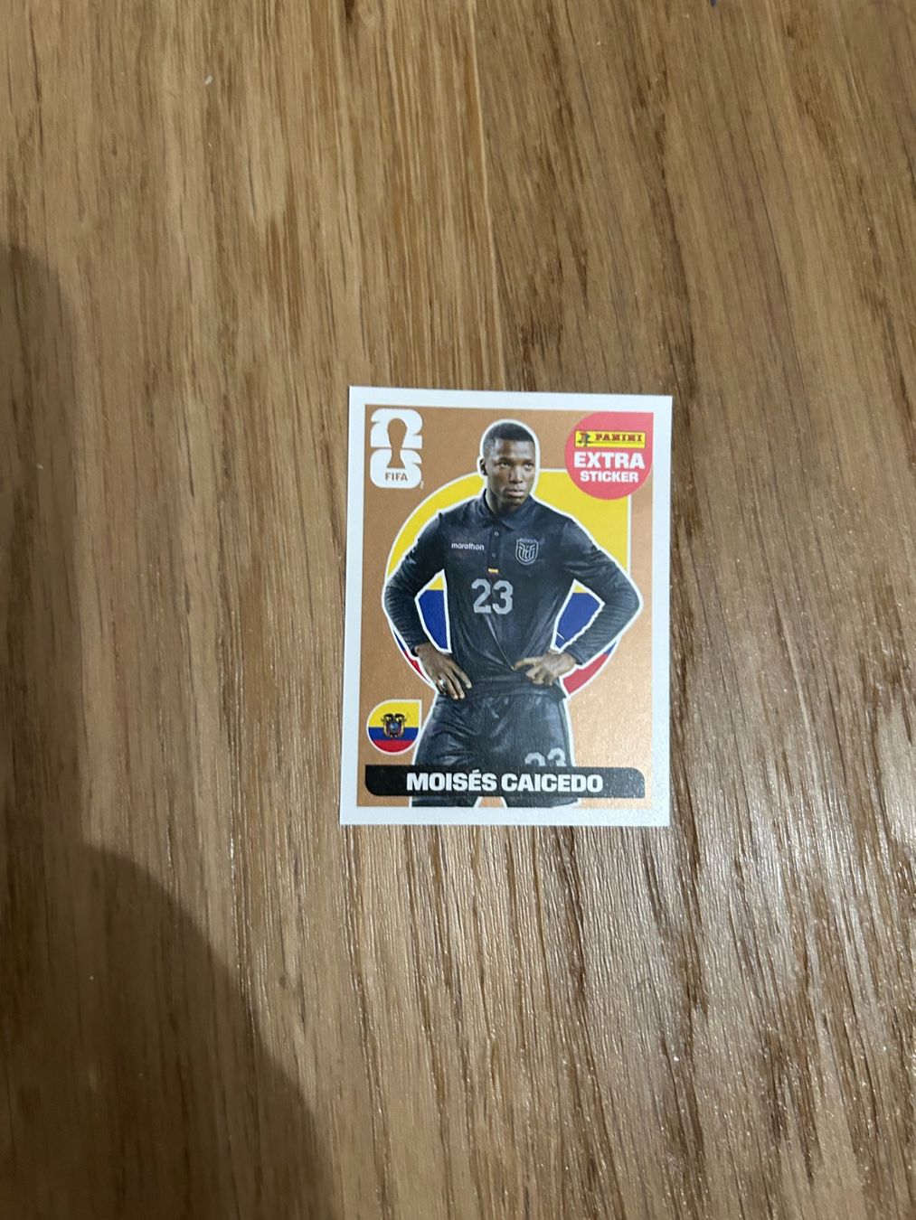 Panini Sammelbilder & Trading cards: Extra Sticker Caicedo – Gebraucht aus Thônex von encaro