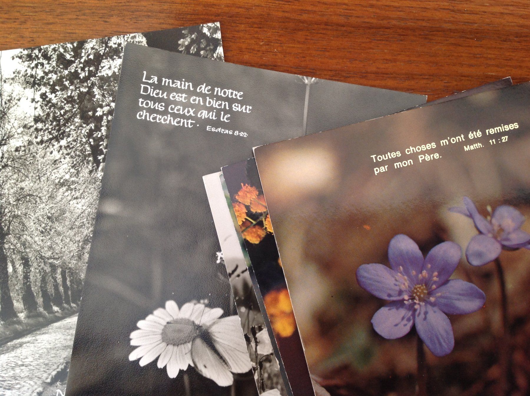 Cartoline postali: AK carte avec texte evangelique – Usato da Vuiteboeuf venduto da broticaire 1