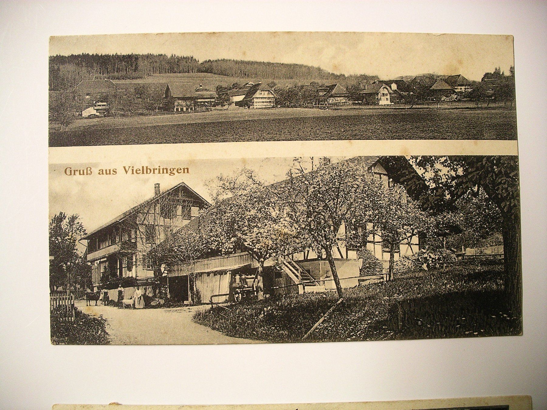 Cartoline postali: s/wAK  VIELBRINGEN – Usato da Oberhofen am Thunersee venduto da luuping99