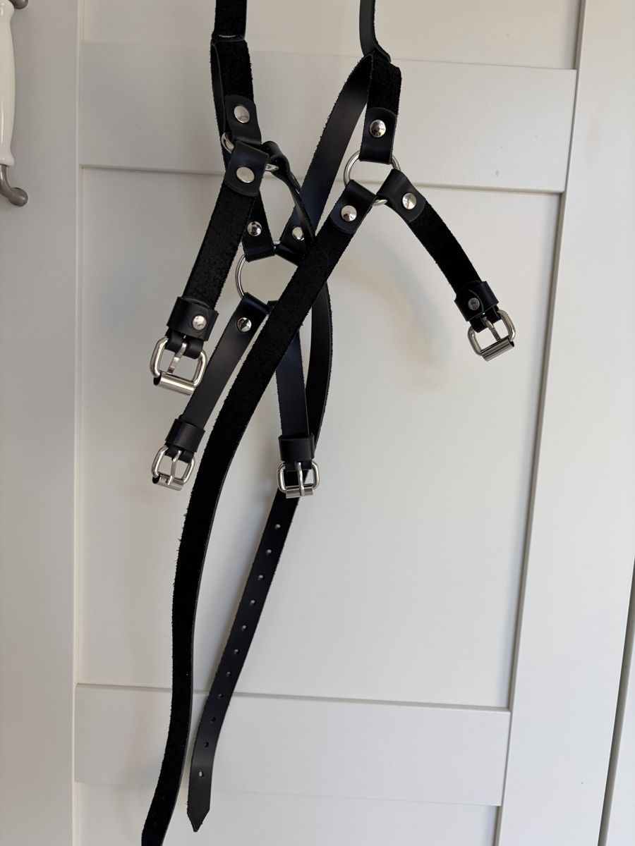 Cinture: Leder Harness – Usato da Titterten venduto da rodbender44 1