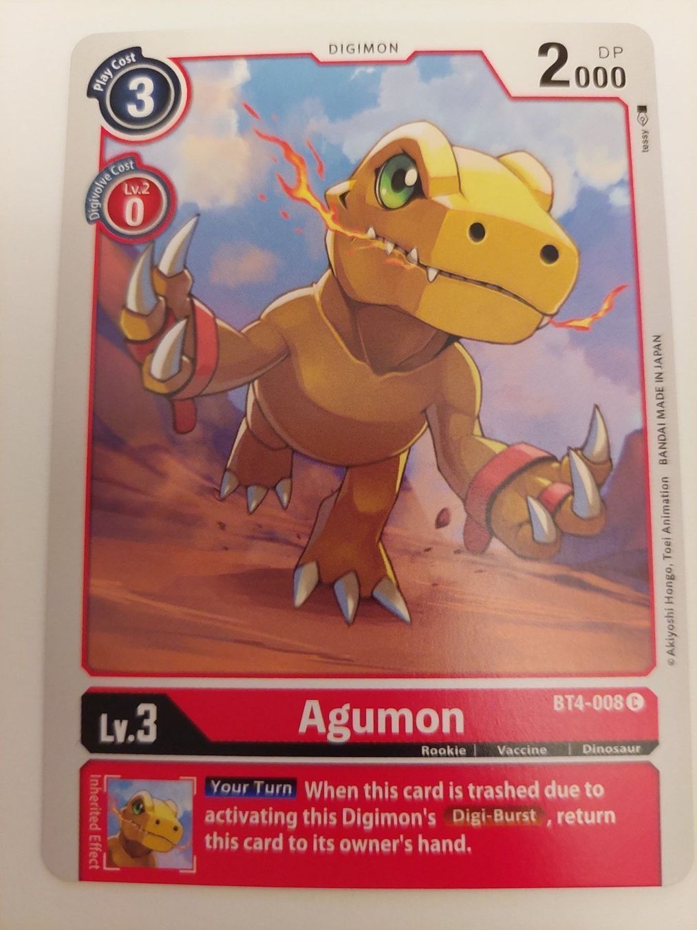 Karten: ◇Digimon TCG Agumon◇ – Neu (gemäss Beschreibung) aus Köniz von Toyscollect
