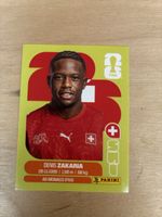 Panini SUI 10
