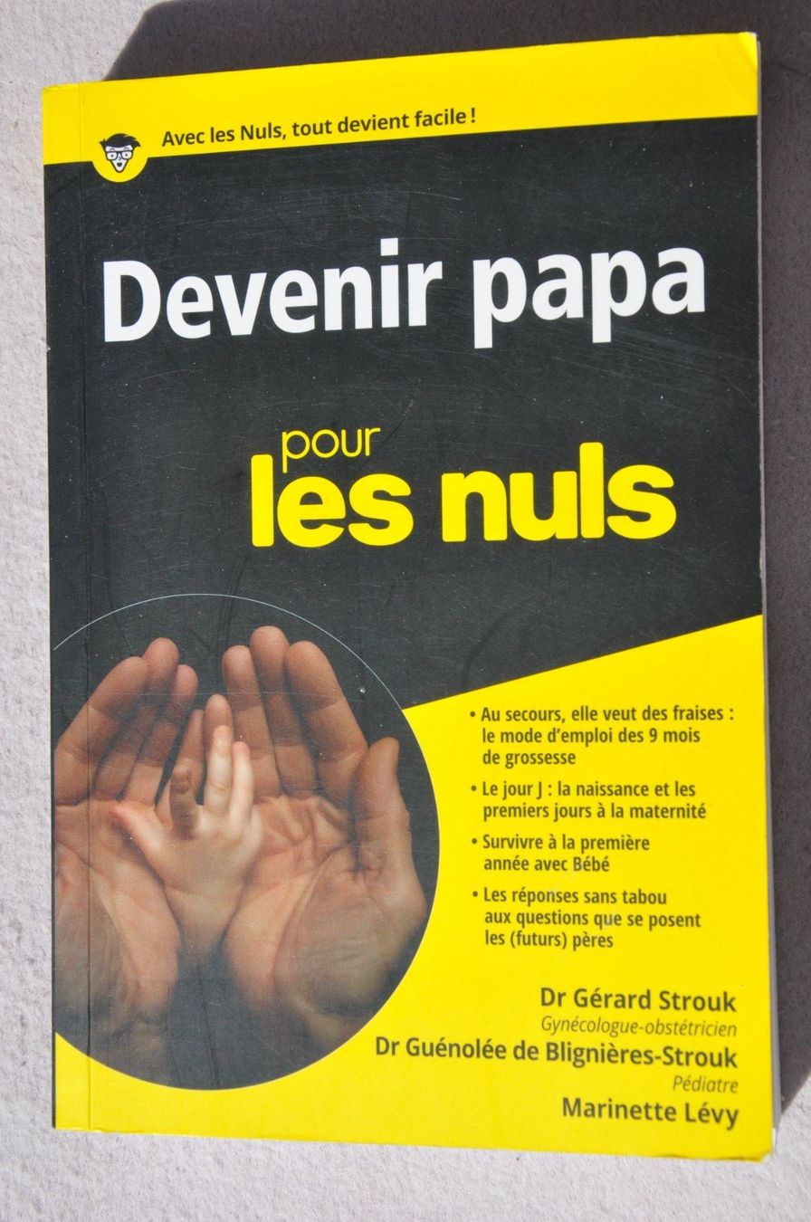 Bücher: Devenir papa pour les nuls - grossesse, naissance, bébé – Gebraucht aus Fully von Minouchka