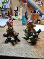  2 Gartenzwerge Figuren Frosch und Schildkröte (V)