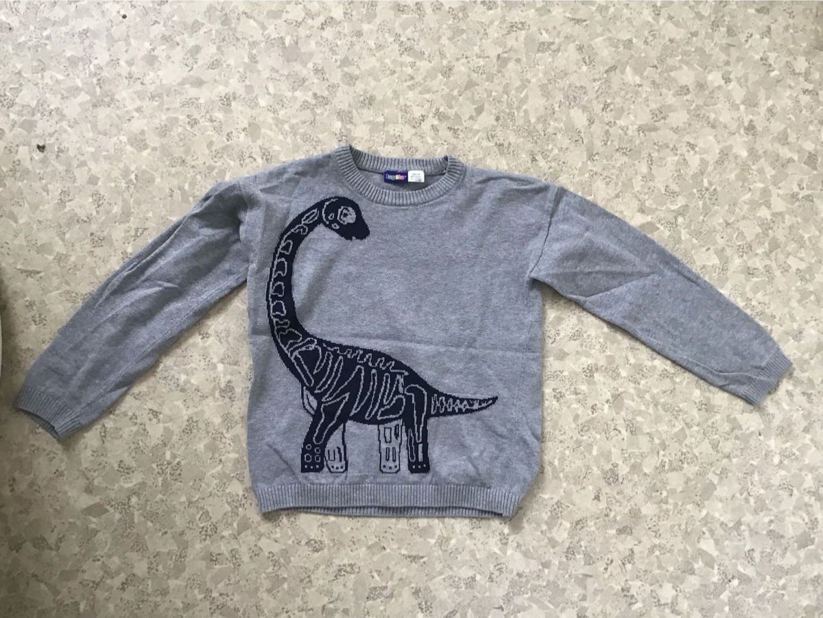 Maglioni & Felpe: Cooler Dino Pullover, Gr. 122 / 128🦕 – Usato da Seuzach venduto da Tureda