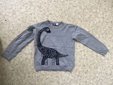 Cooler Dino Pullover, Gr. 122 / 128🦕