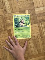 Pokemon Karte: Igamaro - Selten! Sammlerstück!