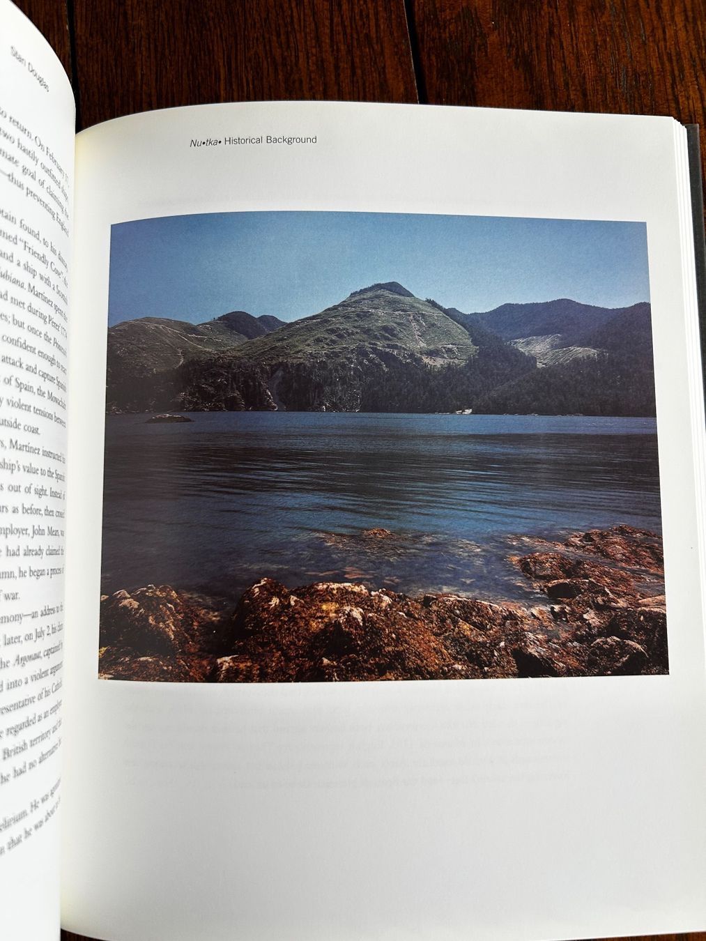 Libri: Stan Douglas - Vancouver Art Gallery – Usato da Basel venduto da Chamisso 3