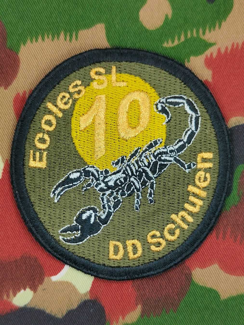 Schweizer Armee Placchette & Badge: Verbandsabzeichen Durchdiener Schule 10 – Usato da Bauma venduto da SwissMilitaria