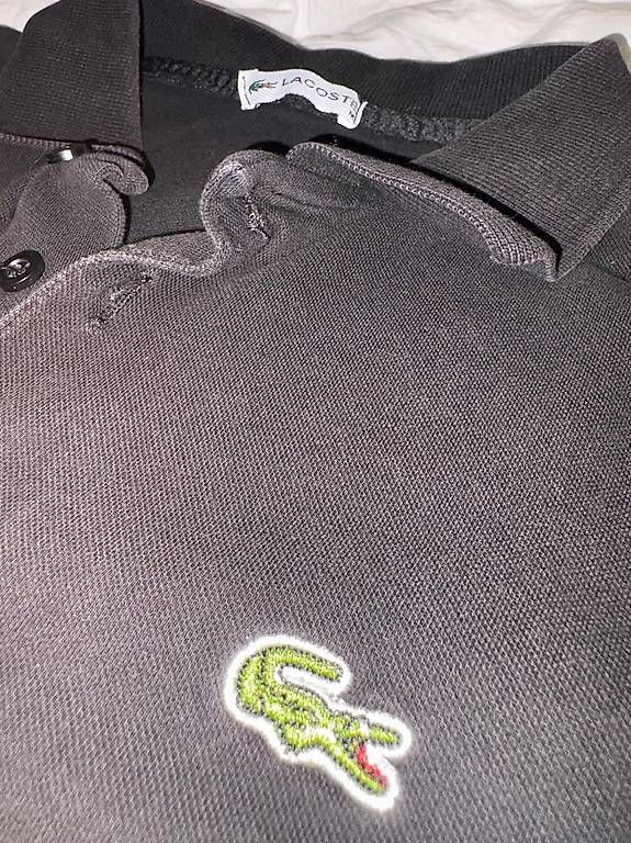 T-Shirts: Lacoste T-Shirt – Gebraucht aus Wetzikon ZH von cet_6fbf 2