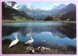 Lenk, B.O., Seeli mit Wildstrubel