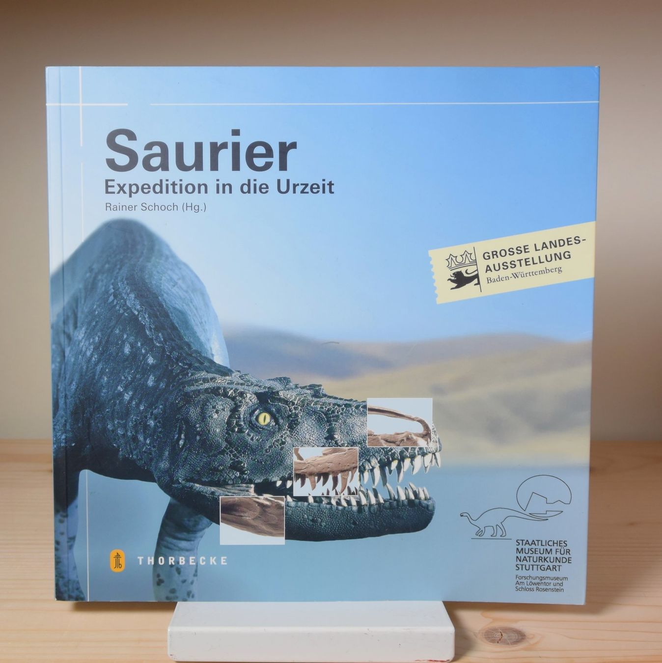Bücher: Konvolut, Sammlung, Lot: Dinosaurier 10 Titel – Gebraucht aus Erschwil von taglang 3