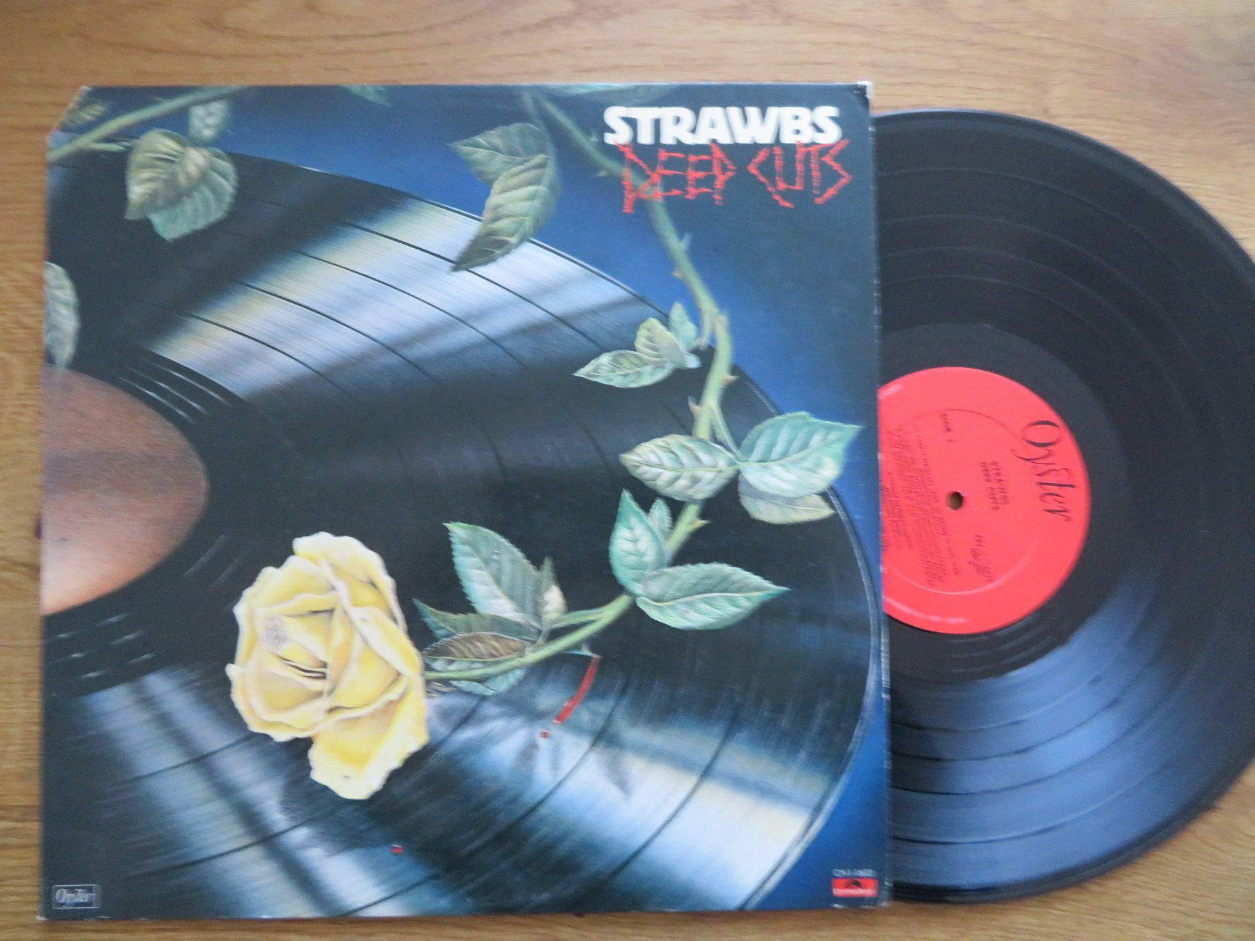 Dischi in vinile: STRAWBS DEEP CUTS – Usato da Zürich venduto da max_cp5f