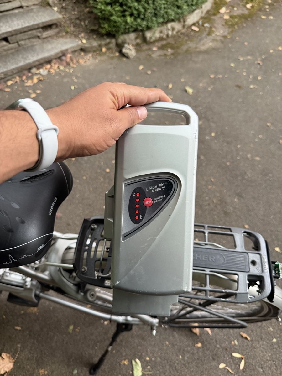 Flyer Biciclette: Flyer E-bike 399Watt Halt noch gut – Usato da Zürich venduto da Ismail-GG 9