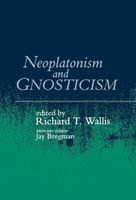 Neoplatonism And Gnosticism Wallis Bregman State University