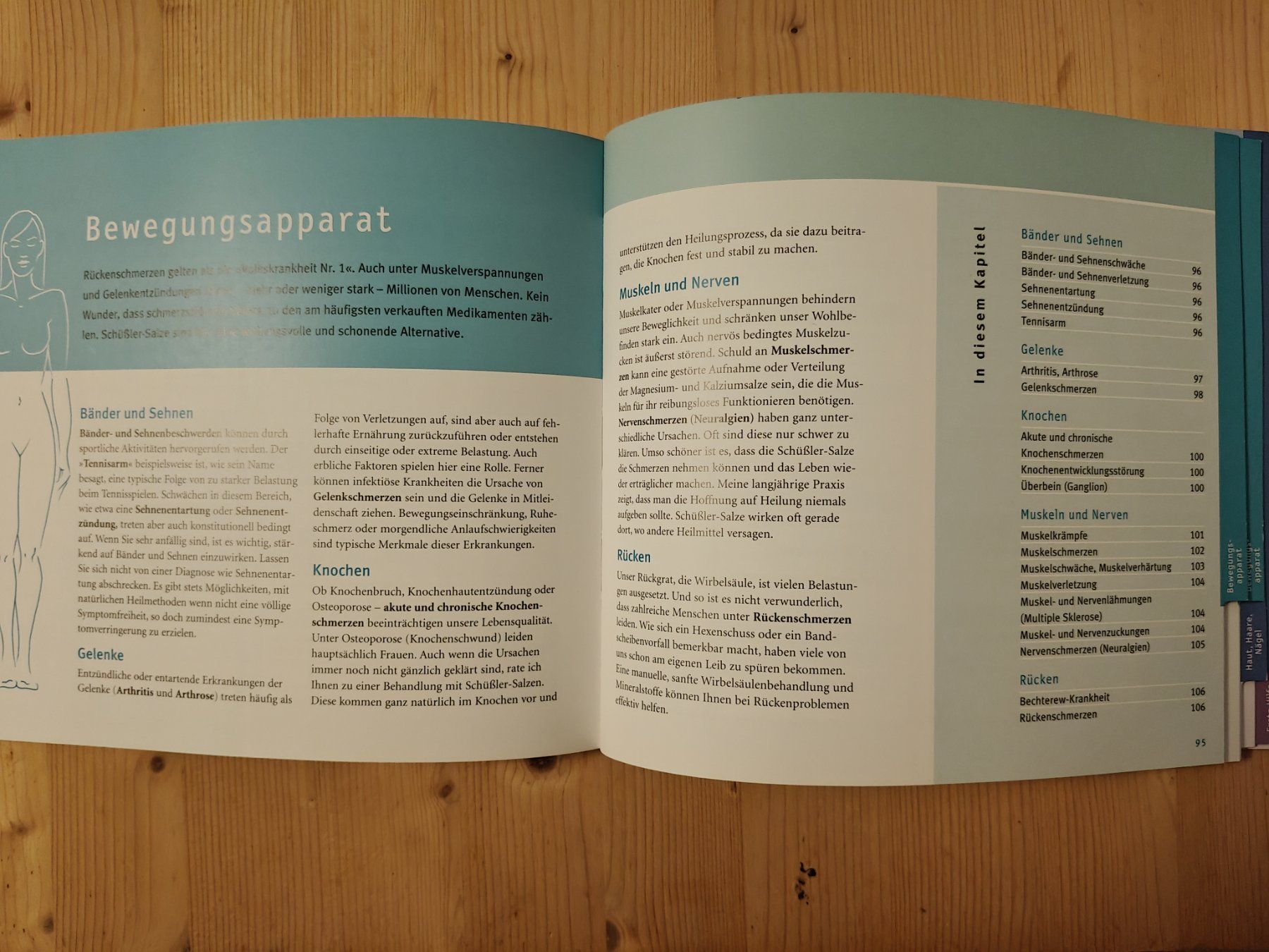 Libri: Quickfinder Schüßler-Salze / GU 2017 - G. Heepen – Usato da Muttenz venduto da IkaSul 2
