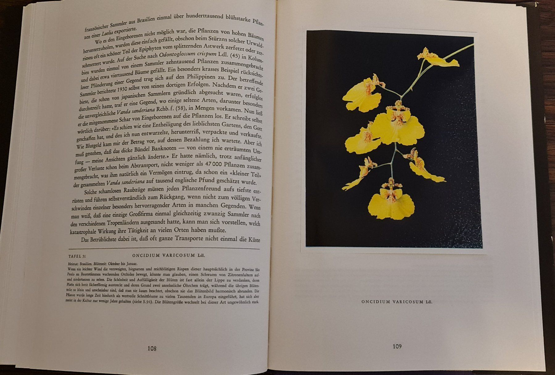 Libri: Orchideen Buch – Usato da Baden venduto da swiss-alps 6