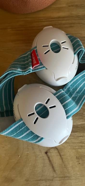 Visage & Oreilles: Baby Pamir Muffy Baby – D'occasion à Trimbach par glatsch01 1