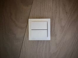 Funktaster Smart Light Control für Philips Hue Feller weiss