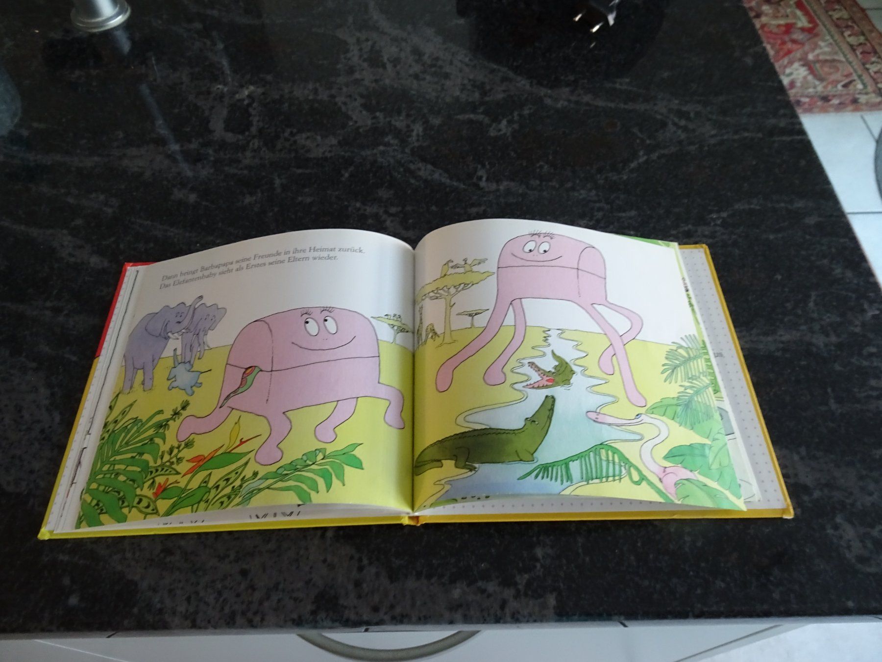 Bücher: BARPAPAPA DIE TIERE KLEINES FORMAT JU – Gebraucht aus Zürich von Roulet 5