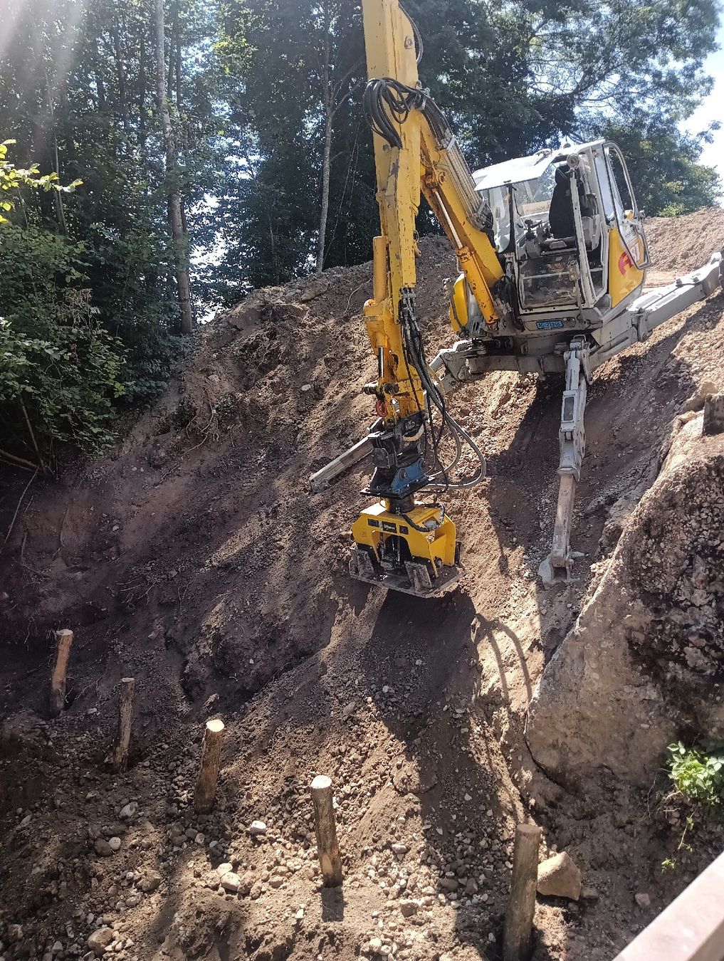 Menzi Muck Escavatori: Menzi Muck A81 – Usato da Sarmenstorf venduto da Beckhans01 6