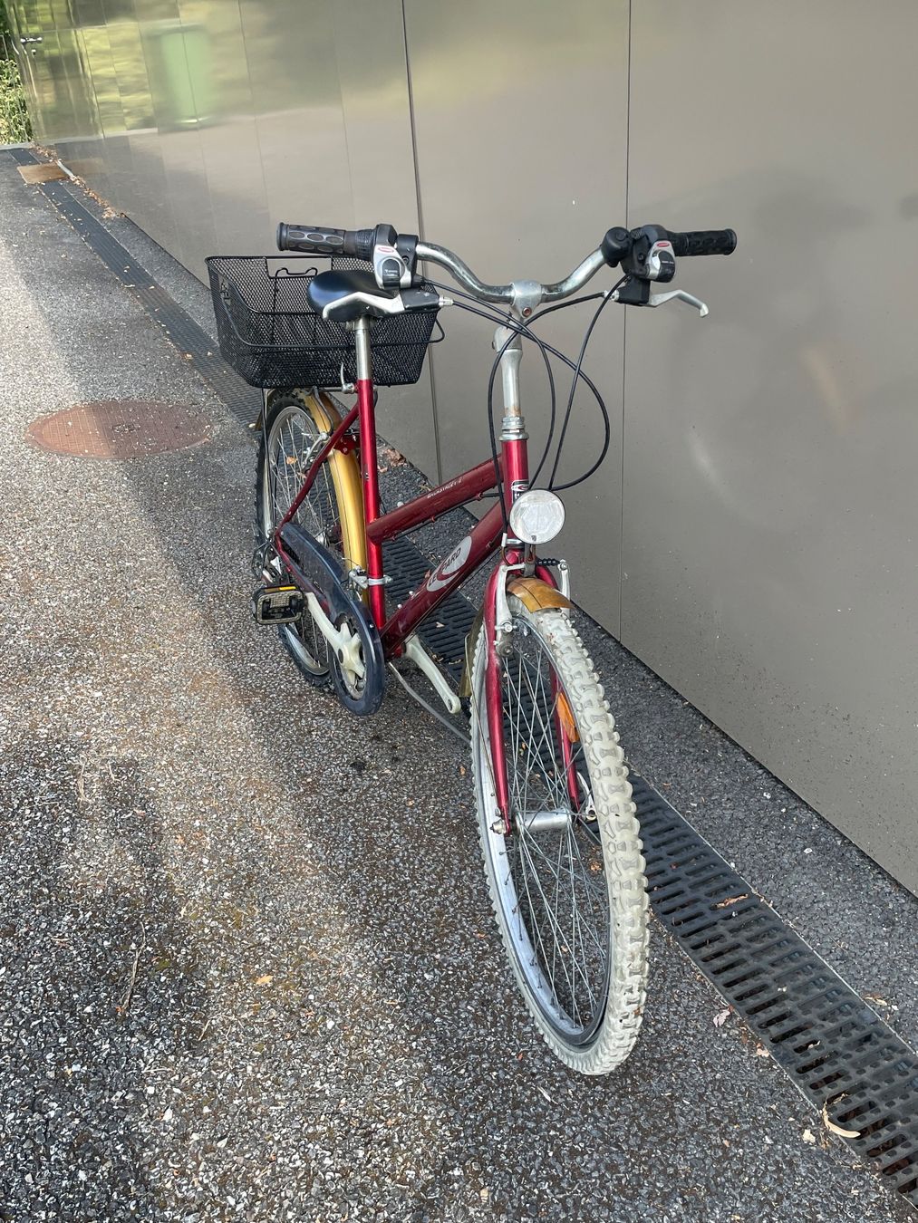 Leopard Biciclette: Damenvelo Leopard rot mit Korb, gebraucht – Usato da Erlinsbach venduto da MS2G 3