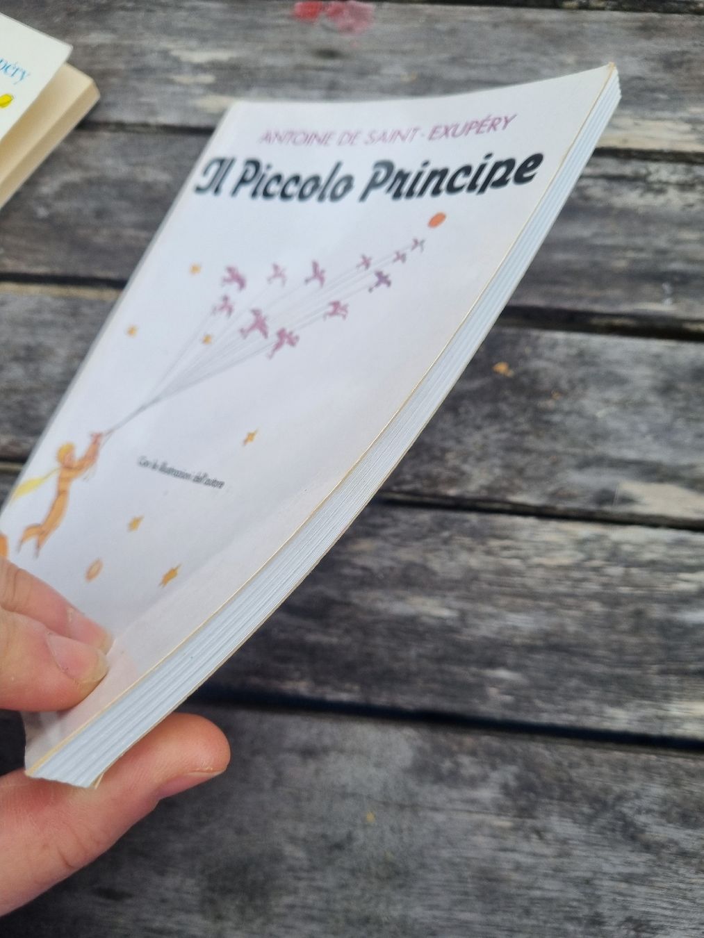 Libri: Il Piccolo Principe, Antoine de Saint-Exupé – Usato da Fribourg venduto da sal_5ln6 3