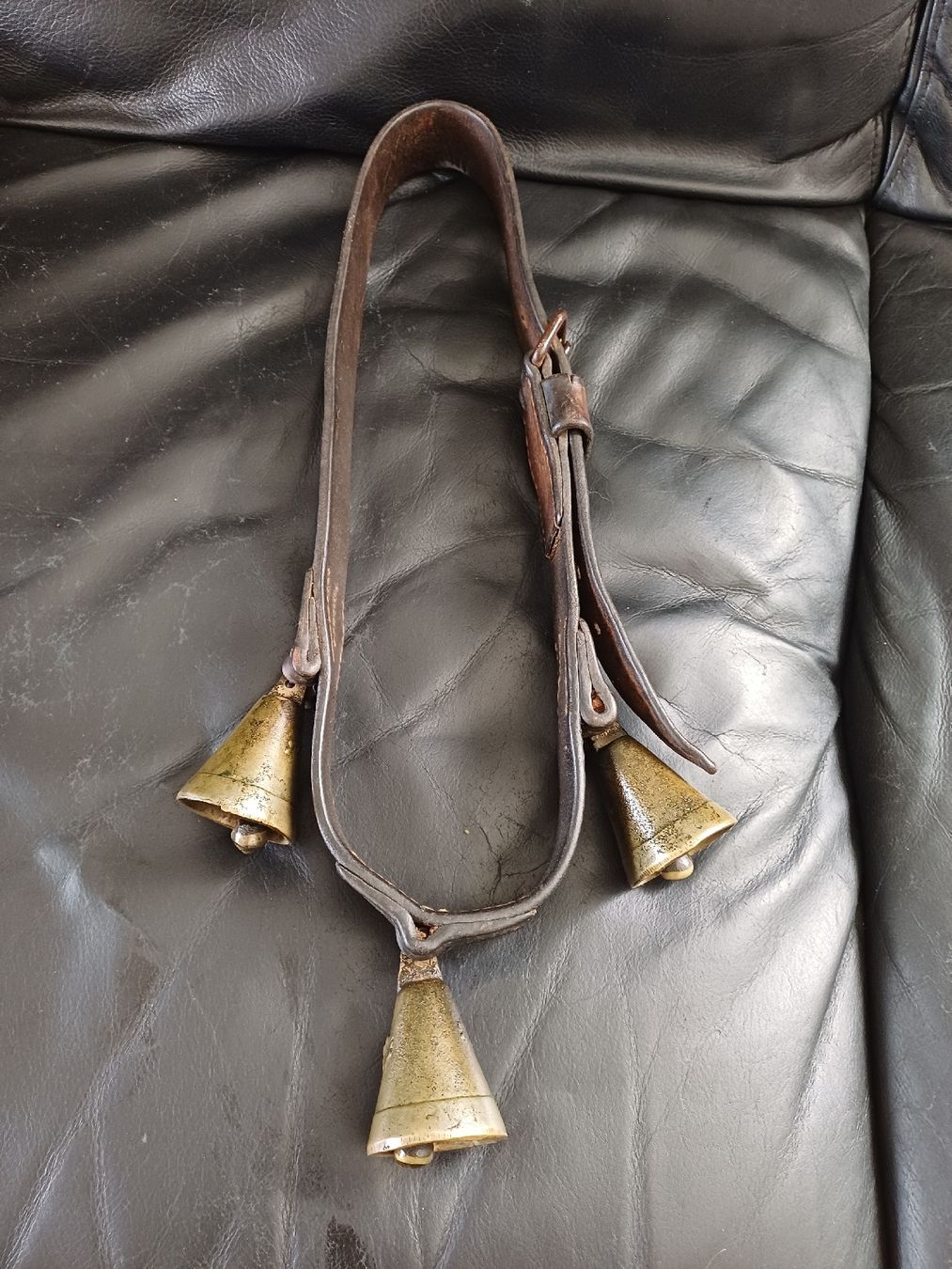 Campanacci mucche: Vintage Pferdegocken mit Ledergurt – Usato da Ebersecken venduto da Napf08 1