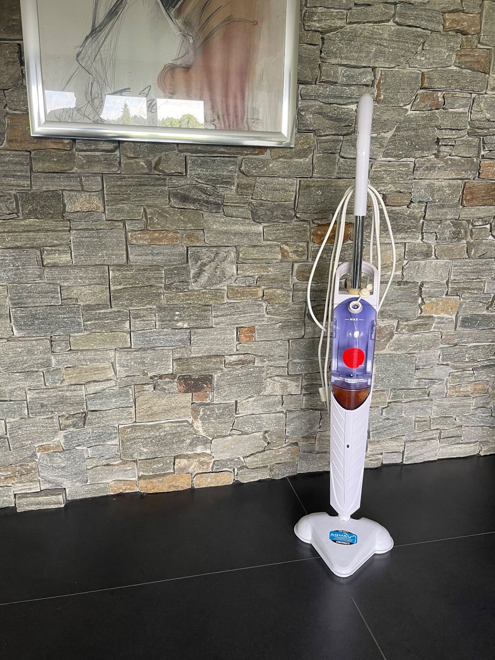Pulitori a vapore: Dampfreiniger für Frühlingsputz – Usato da Sursee venduto da Tommy81 2