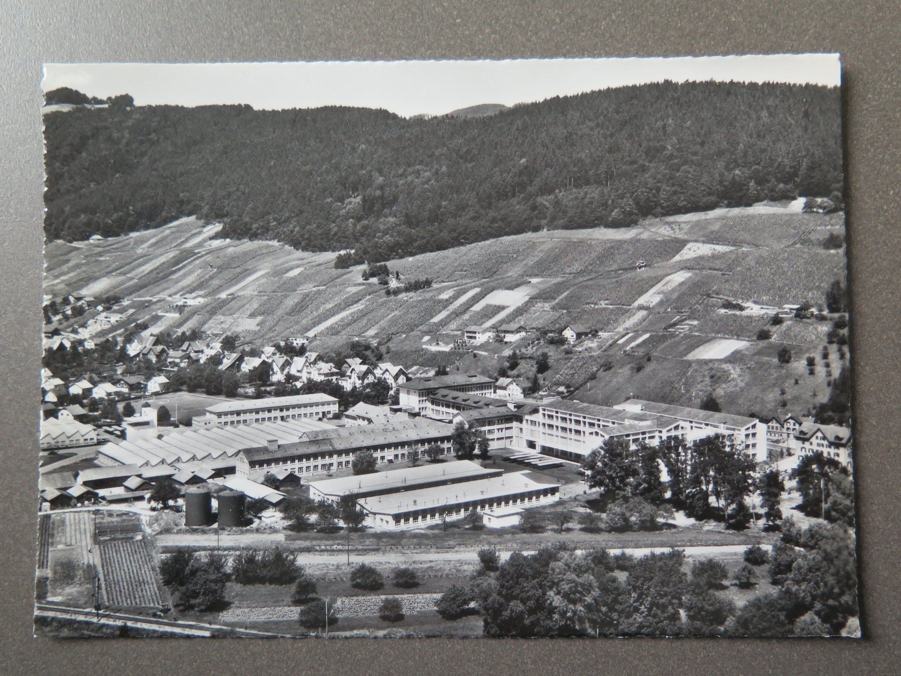 Cartoline postali: HEERBRUGG - FLUGAUFNAHME – Usato da Wittenbach venduto da lipasal