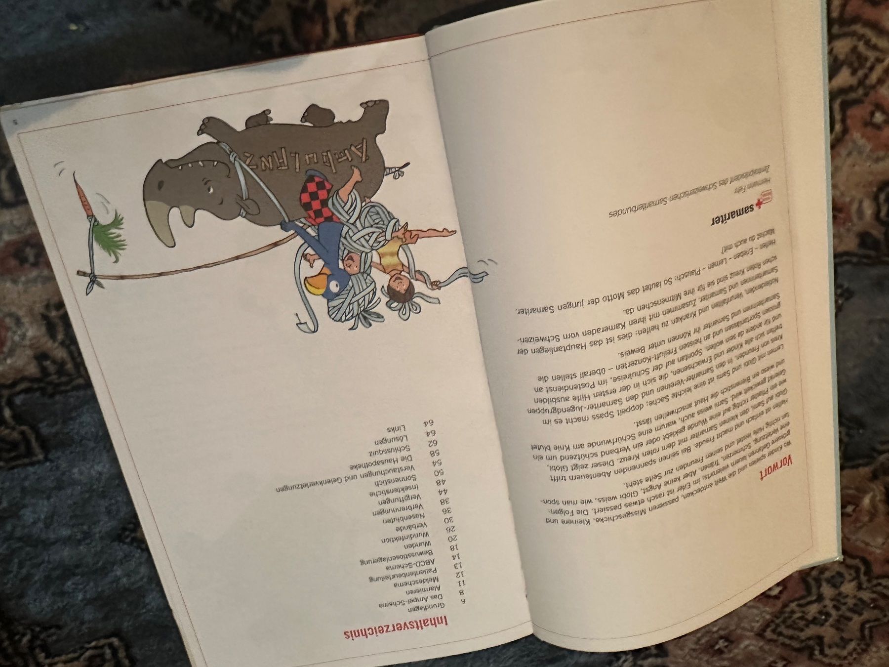 Libri: Erste Hilfe mit Globi – Usato da Uster venduto da bek_v2ct 2