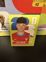 CZE 4 - Panini WM 2026