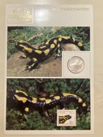Silbermünze Tiere der Heimat Feuersalamander mit PJ Frankatu