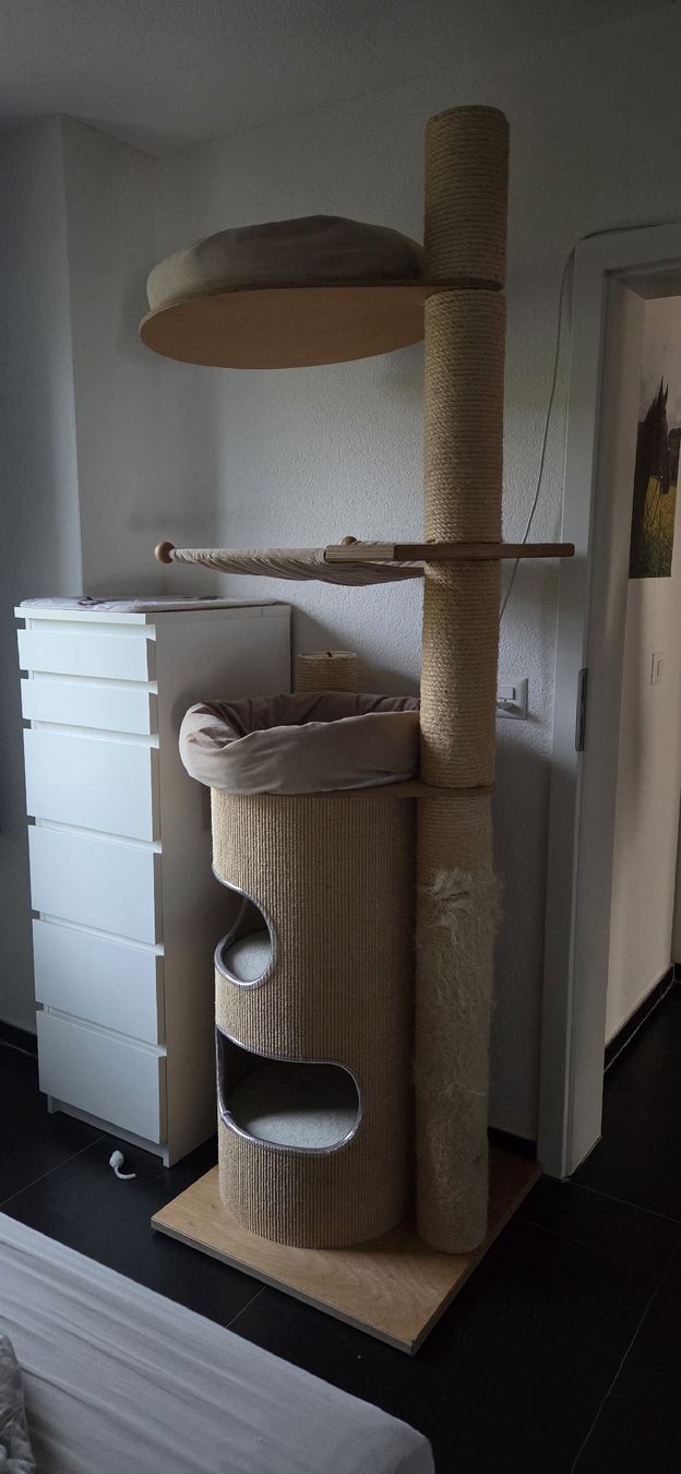 Petfun Kratzbaum XXL Deckenspanner (Gebraucht) in Zetzwil fr CHF 350  nur  Abholung auf Ricardo kaufen