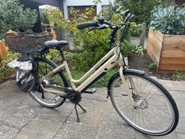 Leopard electro Fahrrad 