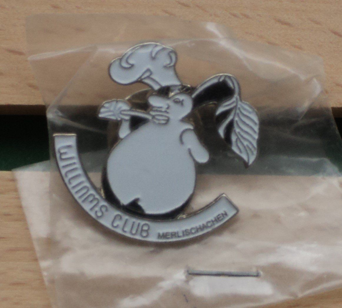 Placchette & Badge: Pins : Lot mit 6 Stück / ab 1.- Fr. – Nuovo (secondo la descrizione) da Sachseln venduto da bru_pj82 2