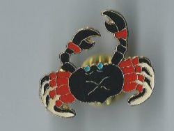 Krebs Pin