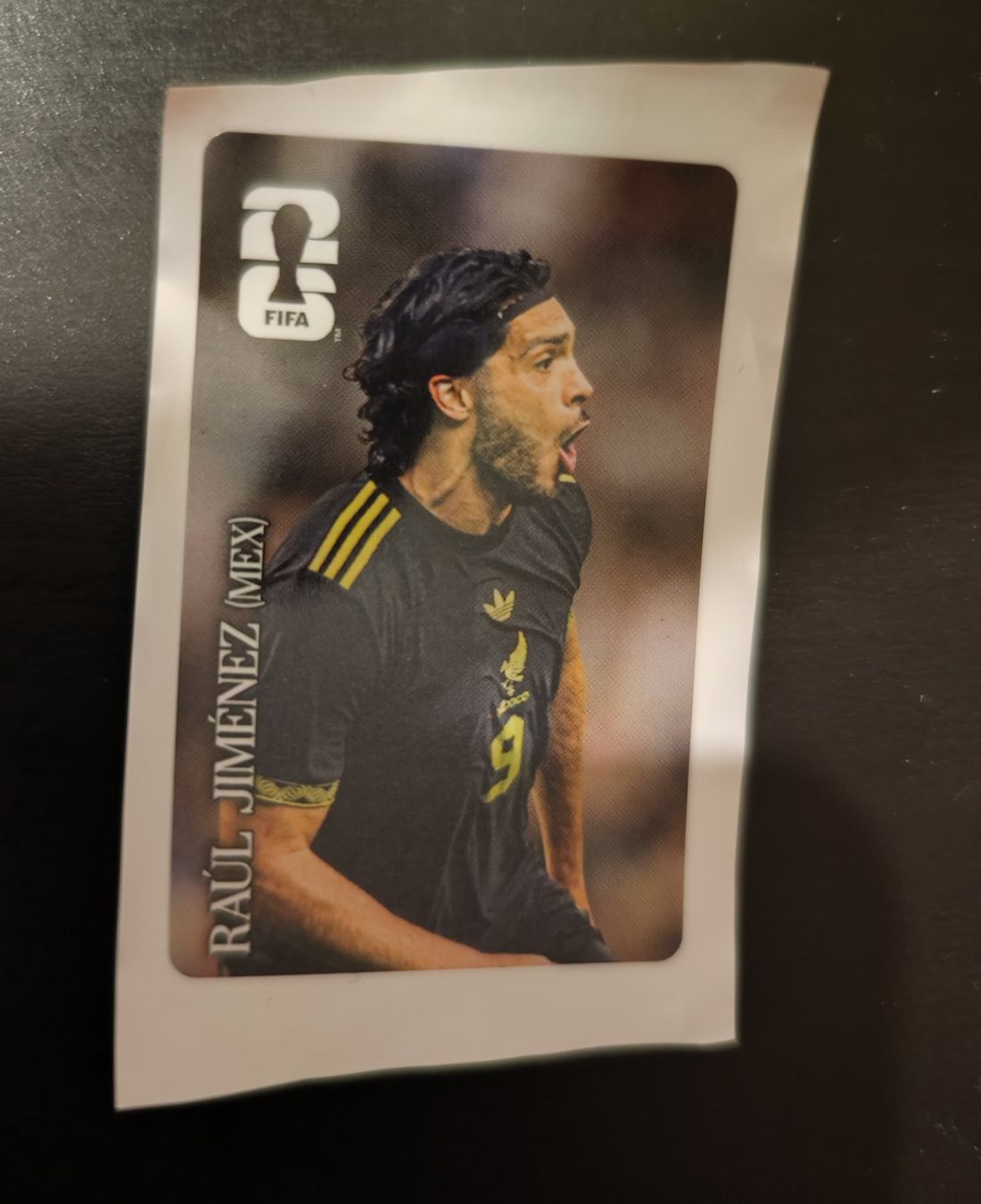 Panini Carte collezionabili: Panini Cola Sticker - Raul Jimenez (MEX) – Nuovo (secondo la descrizione) da Reinach BL venduto da chilller92