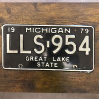 🇺🇸 1979 Vintage U.S. Autoschild - Michigan LLS-954